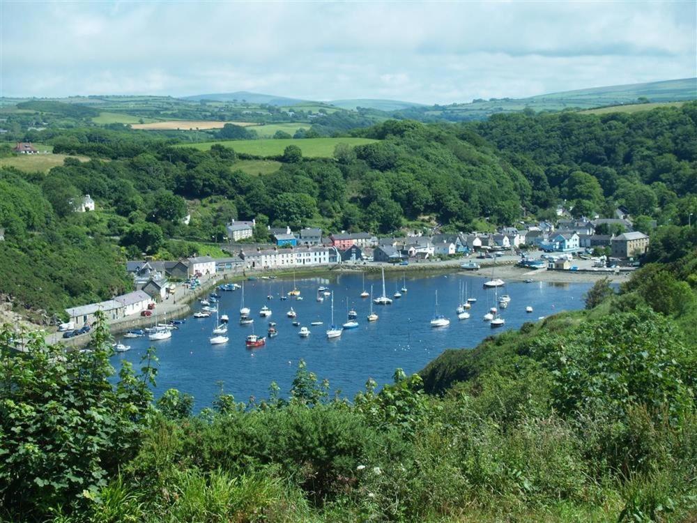 Cwmbrandy Cottage Fishguard Exteriér fotografie